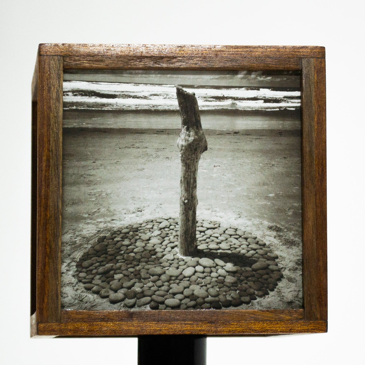 Seaside Lamp