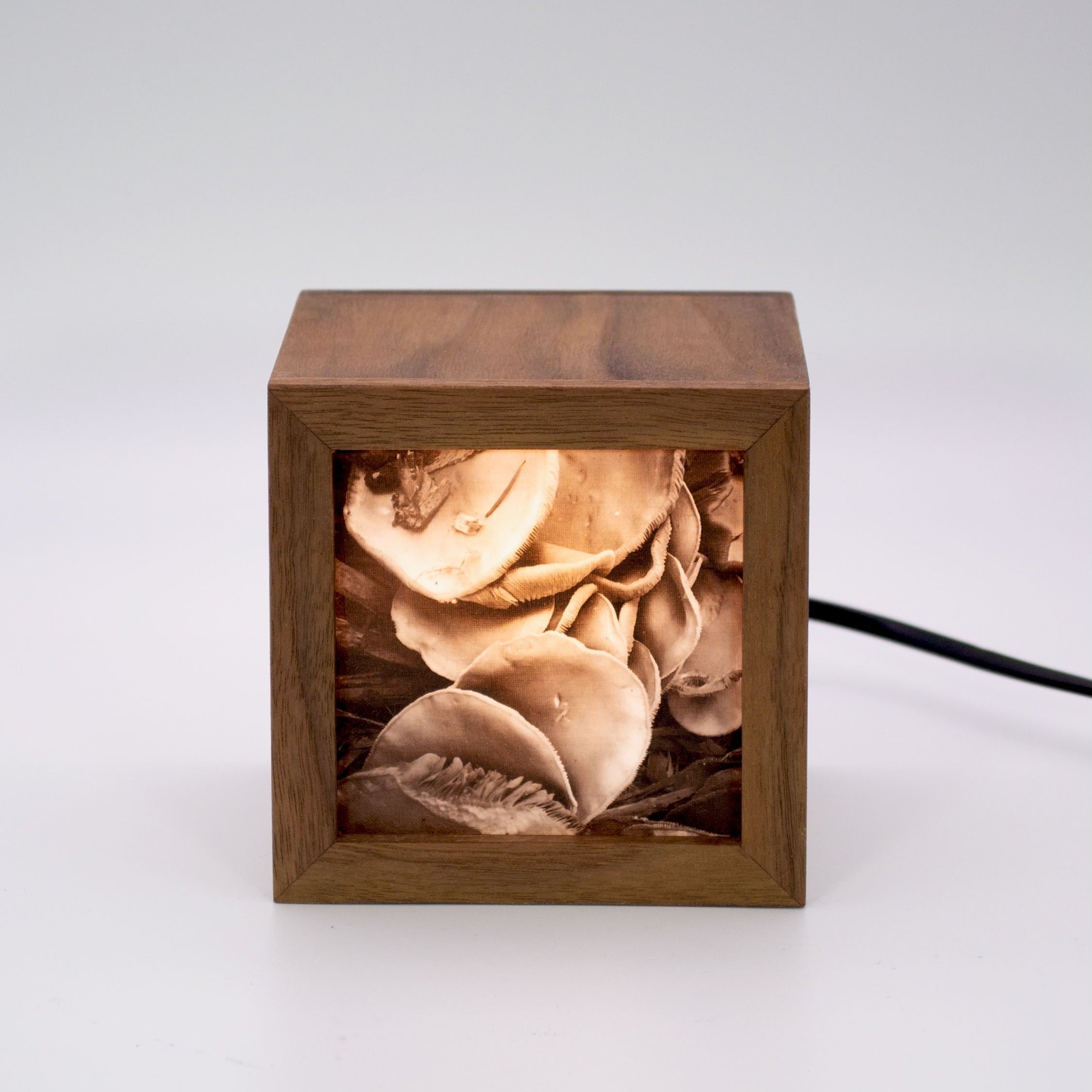 Electrical Light Box Lamp – Table Fourteen